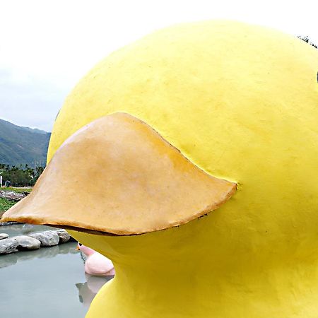 依比鴨鴨水岸會館 Ducking House Acomodação com café da manhã Ruisui Exterior foto