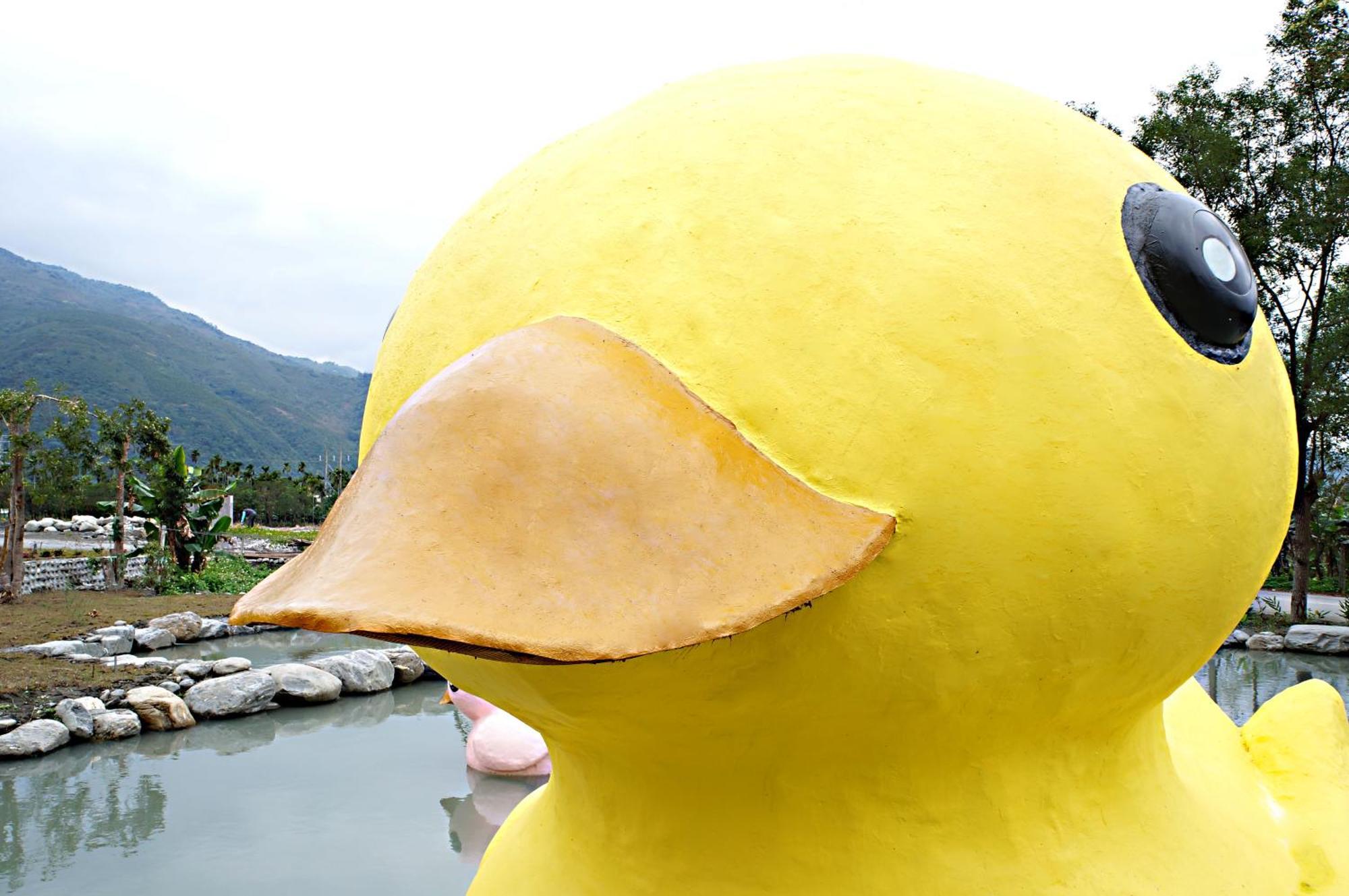 依比鴨鴨水岸會館 Ducking House Acomodação com café da manhã Ruisui Exterior foto